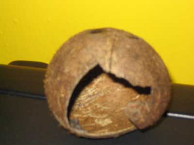 Obraz 001m.jpg