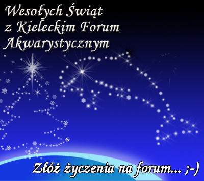 Wesoych wit Boego Narodzenia